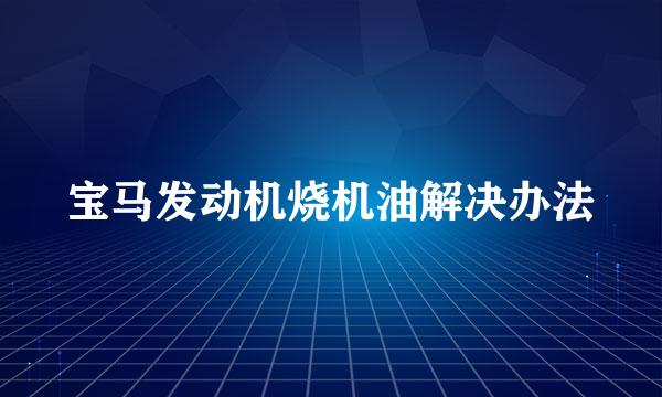 宝马发动机烧机油解决办法