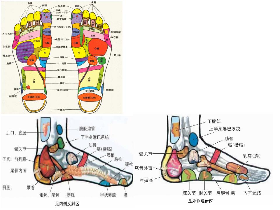 请介绍几张足部穴位图？