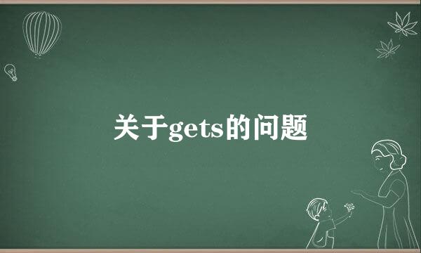 关于gets的问题