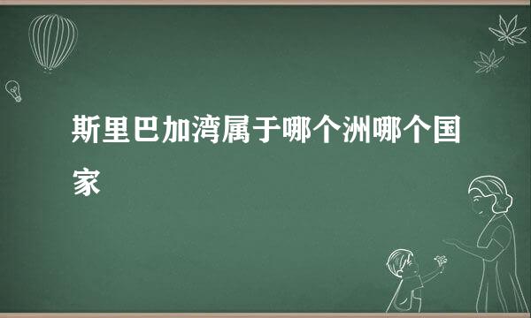 斯里巴加湾属于哪个洲哪个国家