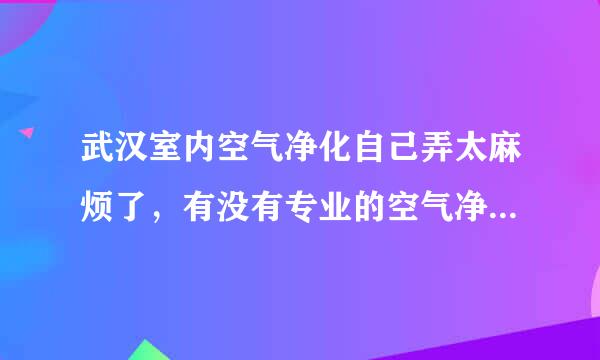 武汉室内空气净化自己弄太麻烦了，有没有专业的空气净化公司介绍？