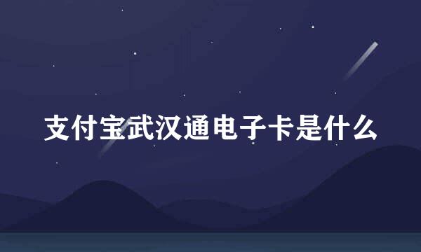 支付宝武汉通电子卡是什么