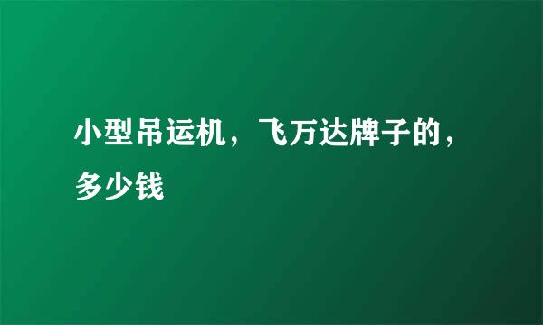 小型吊运机，飞万达牌子的，多少钱