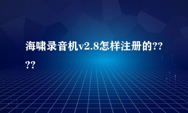 海啸录音机v2.8怎样注册的????