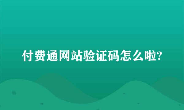 付费通网站验证码怎么啦?