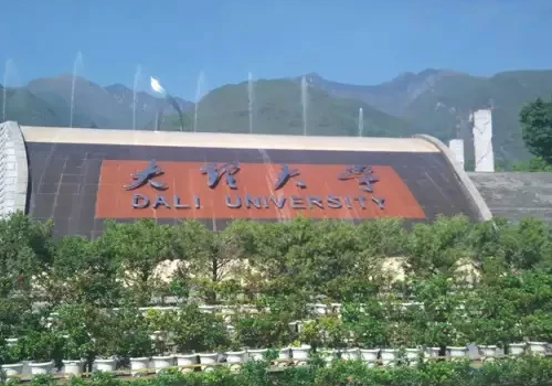 大理有哪些大学？