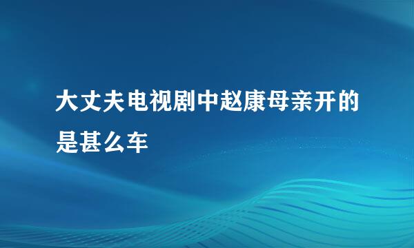 大丈夫电视剧中赵康母亲开的是甚么车