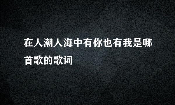 在人潮人海中有你也有我是哪首歌的歌词