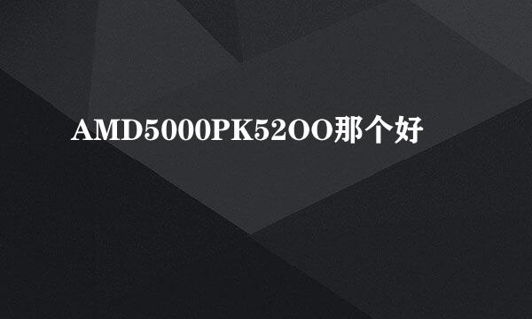 AMD5000PK52OO那个好