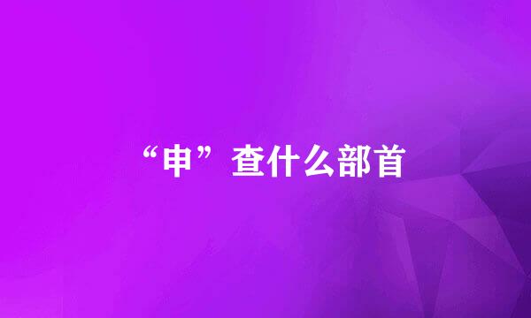 “申”查什么部首