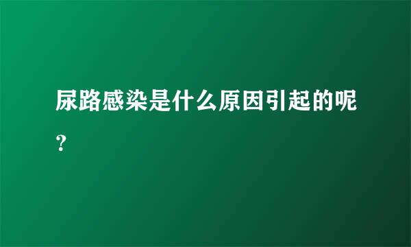 尿路感染是什么原因引起的呢？