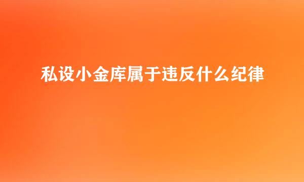 私设小金库属于违反什么纪律