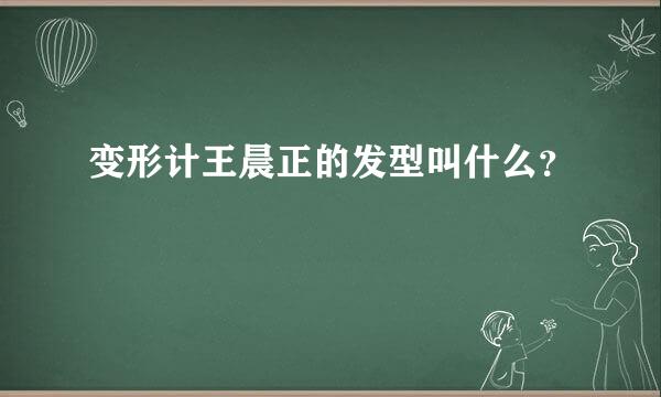 变形计王晨正的发型叫什么？