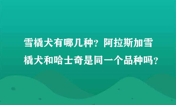 雪橇犬有哪几种？阿拉斯加雪橇犬和哈士奇是同一个品种吗？