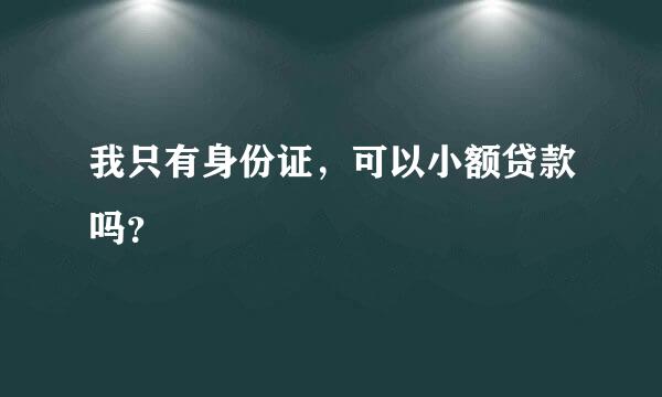 我只有身份证，可以小额贷款吗？