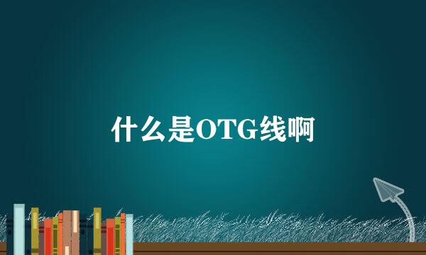 什么是OTG线啊