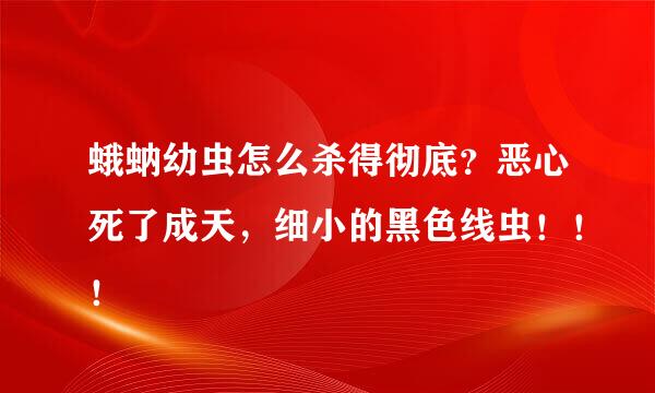 蛾蚋幼虫怎么杀得彻底？恶心死了成天，细小的黑色线虫！！！