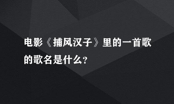 电影《捕风汉子》里的一首歌的歌名是什么？