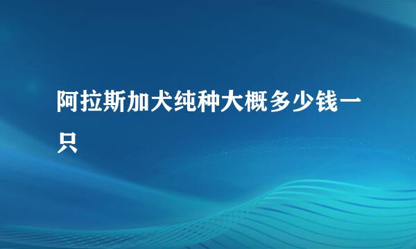 阿拉斯加犬纯种大概多少钱一只