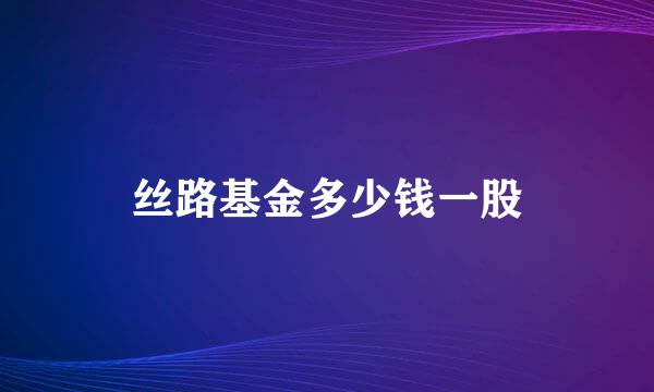 丝路基金多少钱一股