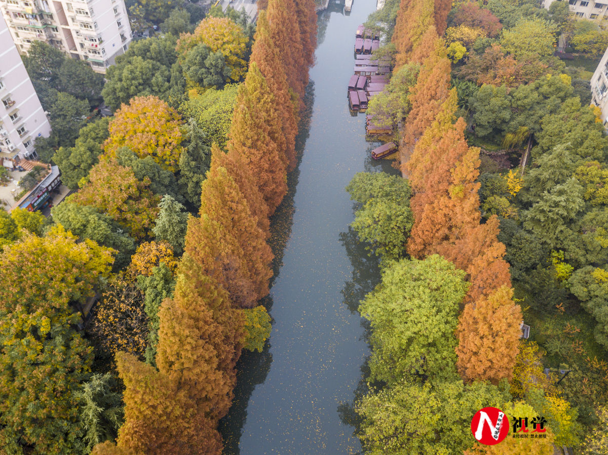 中国十大宜居城市都有那些？