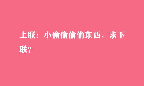 上联：小偷偷偷偷东西。求下联？