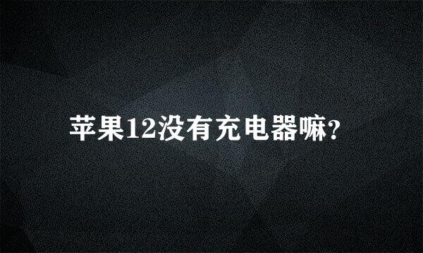 苹果12没有充电器嘛？