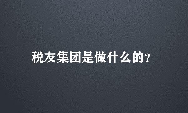 税友集团是做什么的？