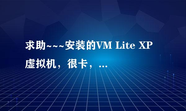 求助~~~安装的VM Lite XP虚拟机，很卡，突然出现这样的情况，怎么解决