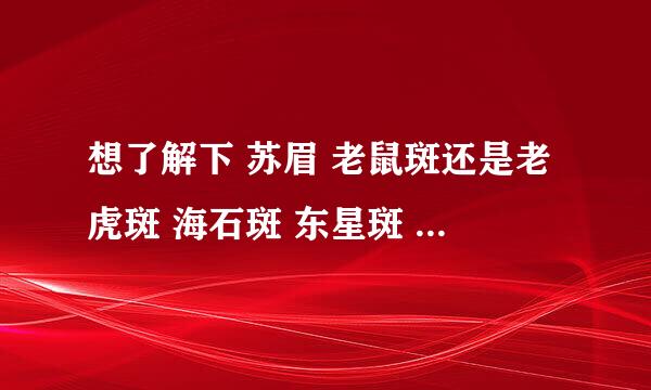 想了解下 苏眉 老鼠斑还是老虎斑 海石斑 东星斑 海皇斑 等等一系列鱼类名称及档次排名