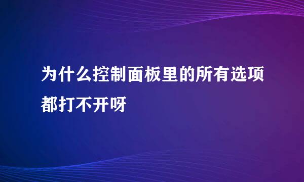 为什么控制面板里的所有选项都打不开呀