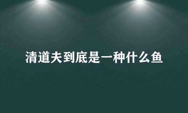 清道夫到底是一种什么鱼