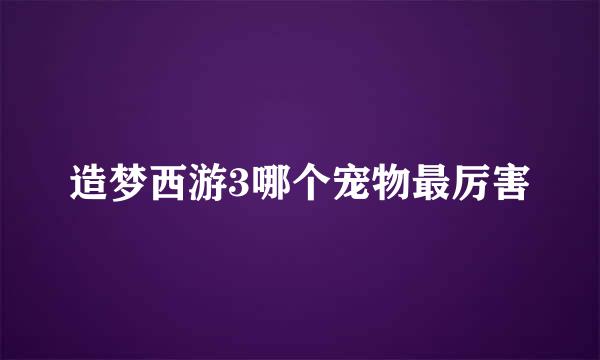 造梦西游3哪个宠物最厉害