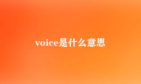 voice是什么意思