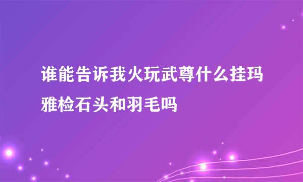 谁能告诉我火玩武尊什么挂玛雅检石头和羽毛吗