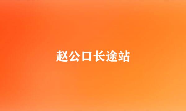 赵公口长途站