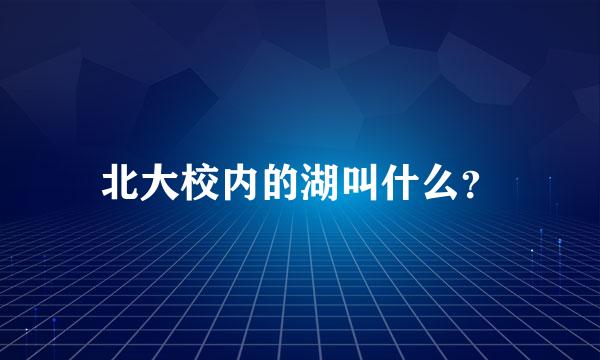 北大校内的湖叫什么？