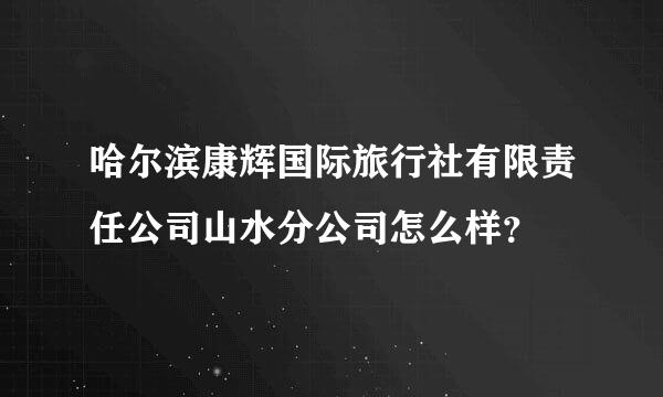 哈尔滨康辉国际旅行社有限责任公司山水分公司怎么样？