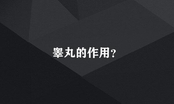 睾丸的作用？