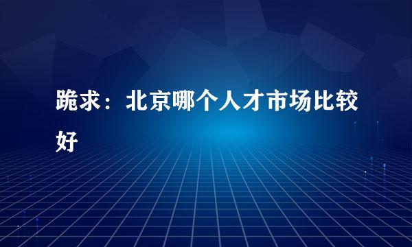 跪求：北京哪个人才市场比较好