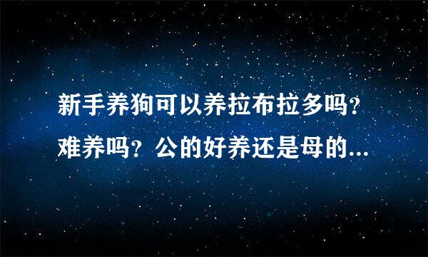 新手养狗可以养拉布拉多吗？难养吗？公的好养还是母的？麻烦再告诉我一下养狗的常识，全面一点（几岁训练