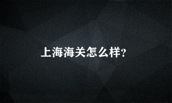 上海海关怎么样？