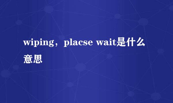 wiping，placse wait是什么意思