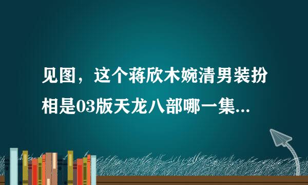 见图，这个蒋欣木婉清男装扮相是03版天龙八部哪一集？这集主要内容是什么？