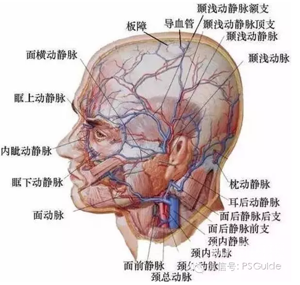 私人微整形工作室真的靠谱吗？