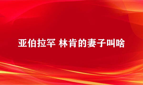 亚伯拉罕 林肯的妻子叫啥