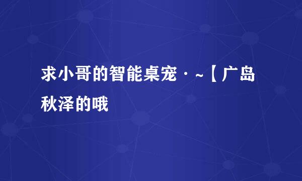 求小哥的智能桌宠·~【广岛秋泽的哦