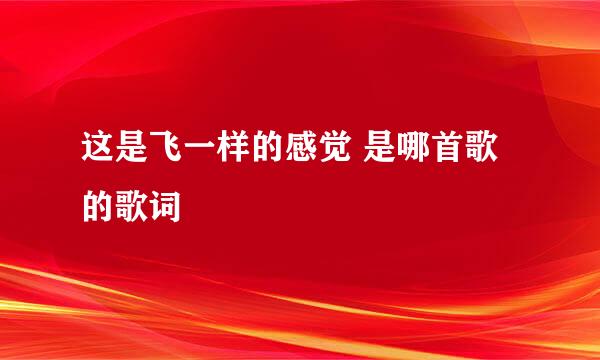 这是飞一样的感觉 是哪首歌的歌词