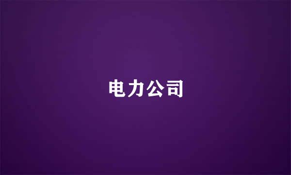 电力公司