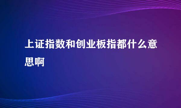 上证指数和创业板指都什么意思啊